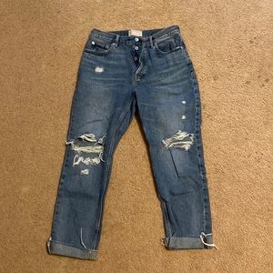 Everlane The Cheeky Jean